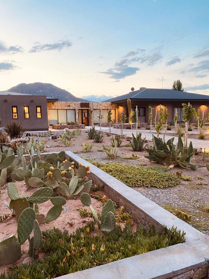 Chañarmuyo Casa de Huéspedes Extérieur photo